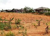 Foto: Cilts sievietes un saldūdens delfīnu meklējumi Borneo